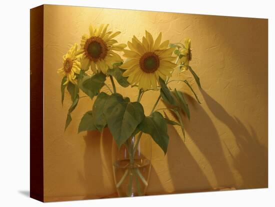 Sunflowers-Anna Miller-Premier Image Canvas