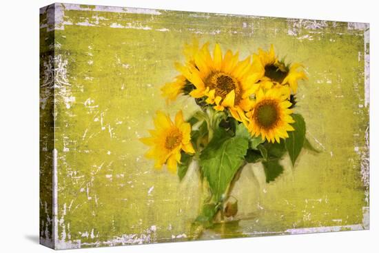 Sunflowers-Philippe Sainte-Laudy-Premier Image Canvas