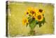 Sunflowers-Philippe Sainte-Laudy-Premier Image Canvas