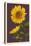 Sunflowers-Lantern Press-Stretched Canvas