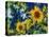 Sunflowers-Michelle Calkins-Stretched Canvas