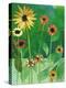 Sunflowers-Jenny McGee-Stretched Canvas