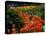 Sunken Garden, Butchart Gardens, Victoria, British Columbia, Canada-null-Premier Image Canvas