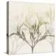 Sunkissed Oleander-Albert Koetsier-Stretched Canvas