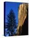 Sunlight Shining on El Capitan-Paul Souders-Premier Image Canvas