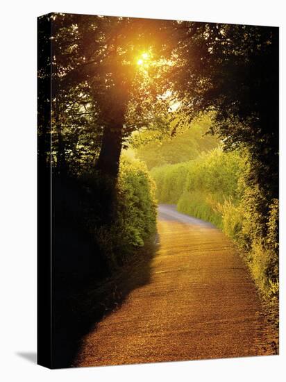 Sunlit Country Lane, Devon, England-Peter Adams-Premier Image Canvas