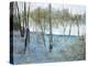 Sunlit Forest Trail-Alexys Henry-Premier Image Canvas