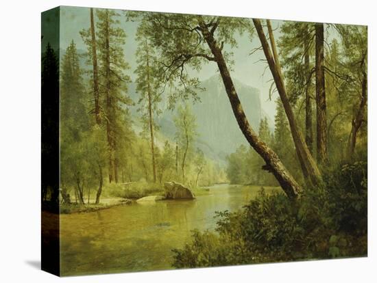 Sunlit Forest-Albert Bierstadt-Premier Image Canvas
