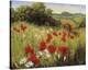 Sunlit Meadow-Mary Dipnall-Stretched Canvas