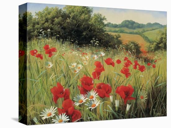 Sunlit Meadow-Mary Dipnall-Stretched Canvas