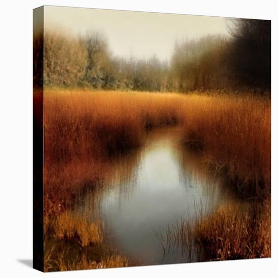 Sunlit Pond II-Madeline Clark-Stretched Canvas