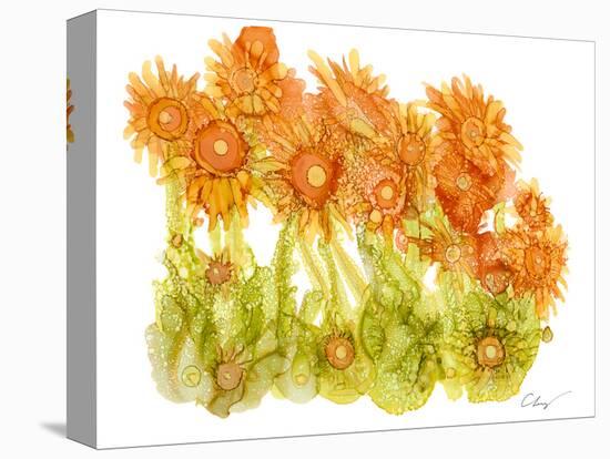 Sunlit Poppies I-Cheryl Baynes-Stretched Canvas