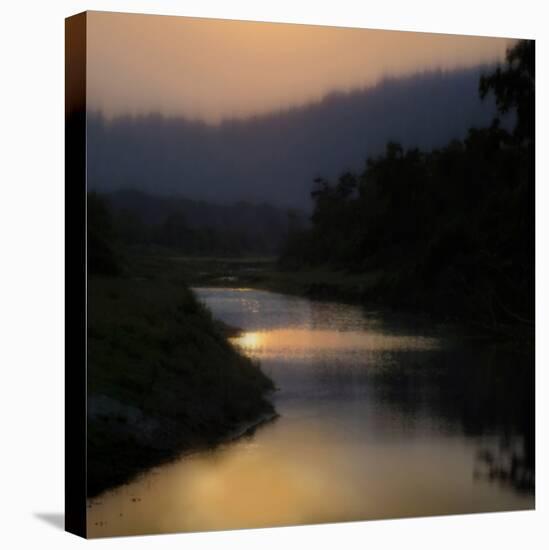 Sunlit River-Madeline Clark-Stretched Canvas
