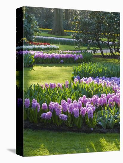 Sunlit Spring Garden with Hyacinth and Daffodils-Anna Miller-Premier Image Canvas