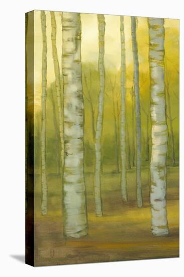 Sunny Birch Grove I-Julie Joy-Stretched Canvas