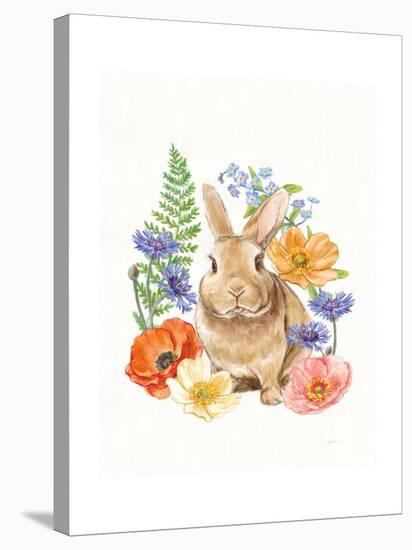 Sunny Bunny II FB-Mary Urban-Stretched Canvas