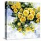 Sunny Charm-Tania Bello-Stretched Canvas