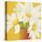 Sunny Daisies-Sarah Horsfall-Stretched Canvas