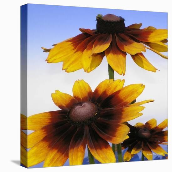 Sunny Day-Herb Dickinson-Premier Image Canvas