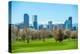 Sunny Denver Skyline-duallogic-Premier Image Canvas