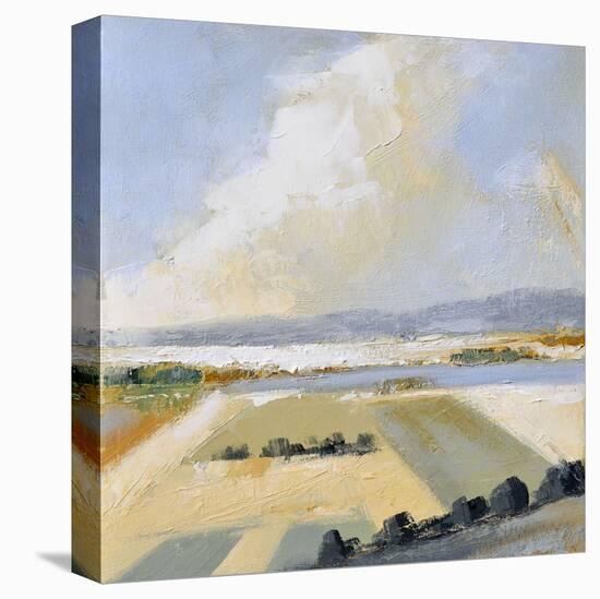 Sunny Fields II-Robert Seguin-Stretched Canvas