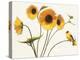 Sunny Flowers on White-Shirley Novak-Stretched Canvas