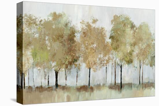 Sunny Forest Trees-Allison Pearce-Stretched Canvas