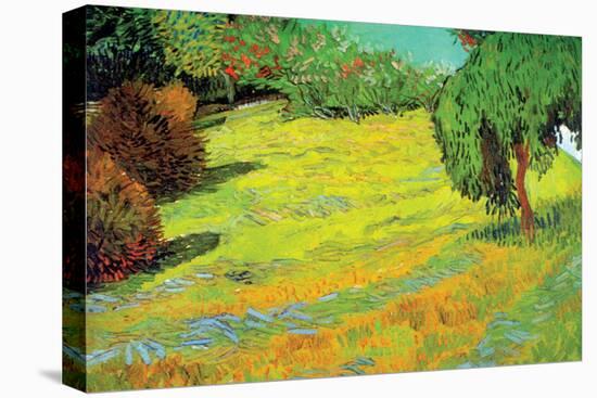 Sunny Lawn-Vincent van Gogh-Stretched Canvas