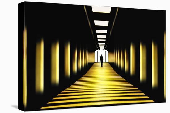 Sunny Path-Samanta-Premier Image Canvas