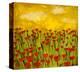 Sunny Poppy Field I-Anne Hempel-Stretched Canvas