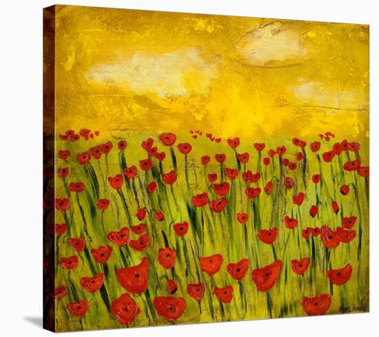 Sunny Poppy Field I-Anne Hempel-Stretched Canvas