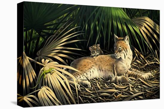 Sunny Spot Bobcat with Kittens-Wilhelm Goebel-Premier Image Canvas