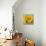 Sunny Sunflower III-Nicole Katano-Stretched Canvas displayed on a wall