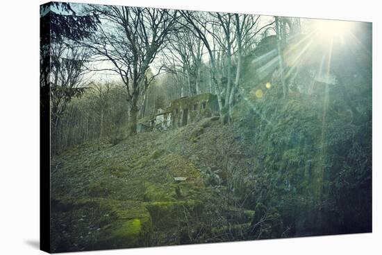 Sunray and remains of a defensive wall of a bunker on a mountain in a wood in winter in Alsace-Axel Killian-Stretched Canvas