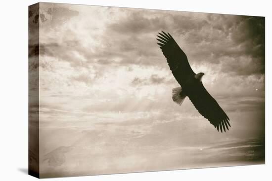 Sunray Eagle-Nathan Larson-Premier Image Canvas