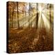 Sunrays and Morning Fog, Deciduous Forest in Autumn, Ziegelroda Forest, Saxony-Anhalt, Germany-Andreas Vitting-Premier Image Canvas