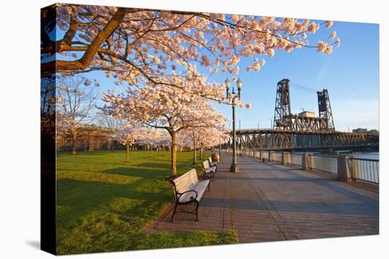 Sunrie Cherry Trees and Steel Bridge, Portland Oregon.-Craig Tuttle-Premier Image Canvas