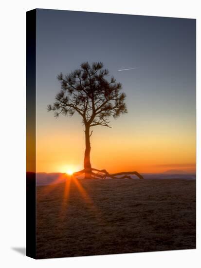 Sunrise at Bryce Canyon National Park, Utah, USA-Tom Norring-Premier Image Canvas