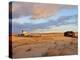 Sunrise at dunes, Cabo Polonio, Rocha Department, Uruguay, South America-Karol Kozlowski-Premier Image Canvas