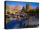 Sunrise at North Lake, Eastern Sierra Foothills, California, USA-Tom Norring-Premier Image Canvas