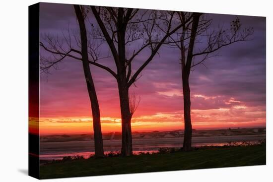 Sunrise at Ogunquit, Maine-Vincent James-Premier Image Canvas