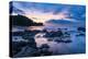 Sunrise at Playa Arco Beach, Uvita, Marino Ballena National Park, Costa Rica-Matthew Williams-Ellis-Premier Image Canvas