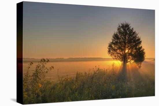 Sunrise at Prairie Ridge State Natural Area, Marion County, Illinois-Richard and Susan Day-Premier Image Canvas