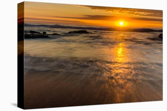 Sunrise at Shelly Beach, Caloundra, Sunshine Coast, Queensland, Australia-Mark A Johnson-Premier Image Canvas