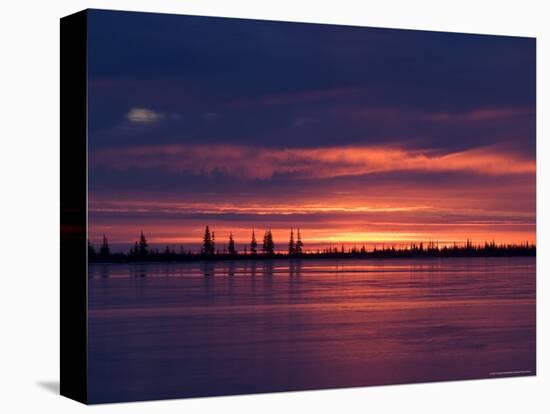 Sunrise at the Lake Near Churchill, Hudson Bay, Manitoba, Canada-Thorsten Milse-Premier Image Canvas