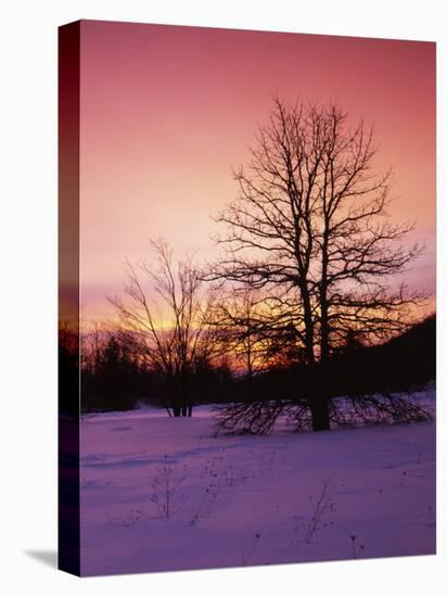 Sunrise at Thorton Gap, Shenandoah National Park, Virginia, USA-Charles Gurche-Premier Image Canvas