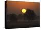 Sunrise, Fischland, Mecklenburg-Vorpommern, Germany-Thorsten Milse-Premier Image Canvas