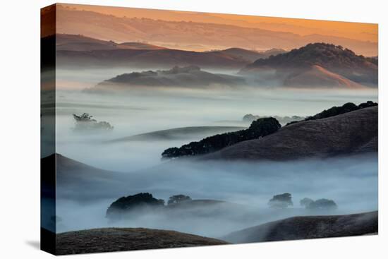 Sunrise Fog Through the Hills of Sonoma Valley, Petaluma California-Vincent James-Premier Image Canvas