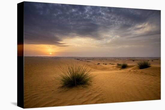 Sunrise in the desert. Abu Dhabi, UAE.-Tom Norring-Premier Image Canvas