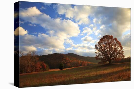 Sunrise in the Fall, Cades Cove, Smoky Mountains NP, Tennessee, USA-Joanne Wells-Premier Image Canvas